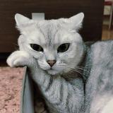 Сахнов Дмитрий 